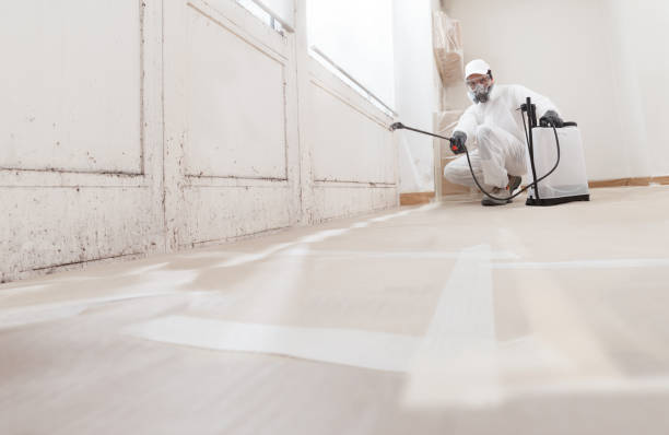 24/7 Emergency Basement Mold Removal experts in Lexington, TN
