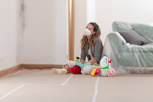 Reliable Basement Mold Removal contractor in Lexington, TN by WQB Mold Removal